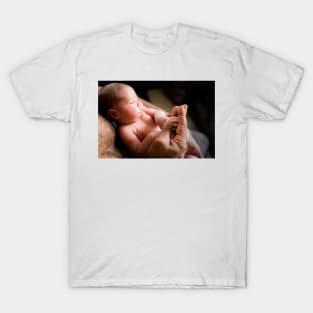 Baby boy holding his father's hand (C027/7681) T-Shirt